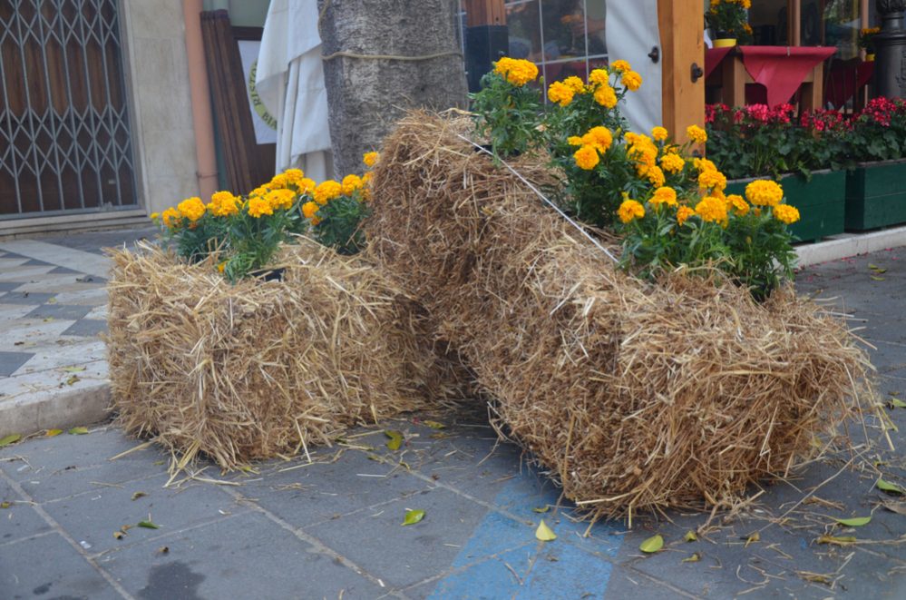 Build a Straw Bale Garden