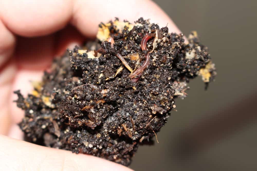 Creates natural soil conditioner by turning waste into humus