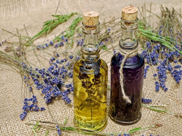 How to Make Lavender Oil? (2 Methods)