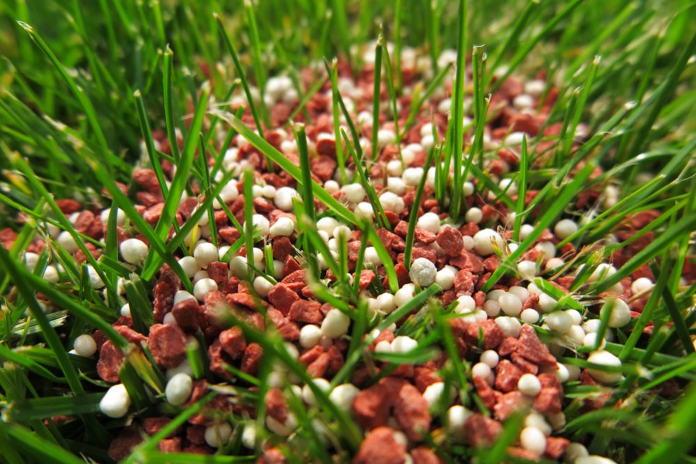 Fertilize Lawn benefits