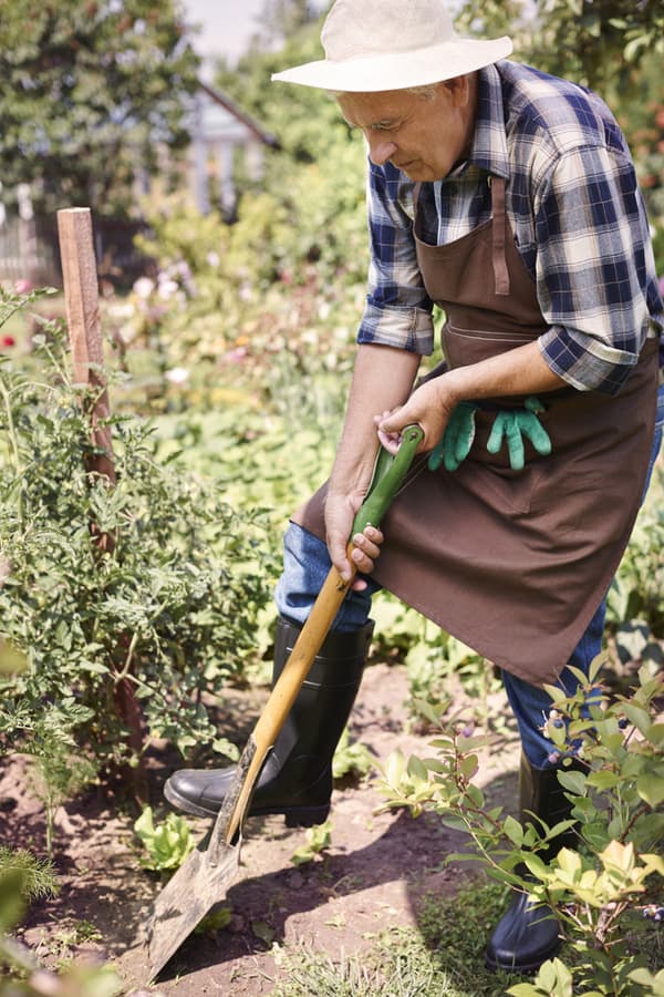 Gardening may reduce the risk of dementia