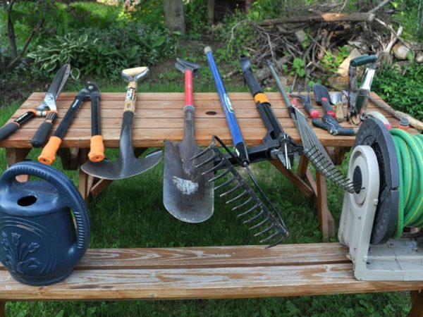 7 Common Garden Tools: How to Sharpen them?