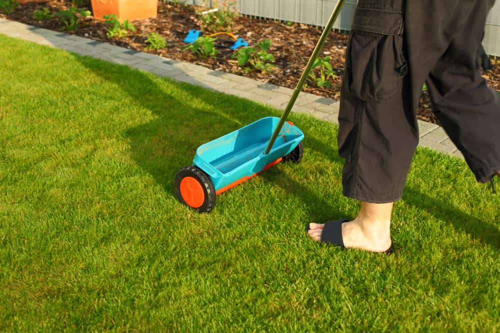 Tips for fertilizing your lawn