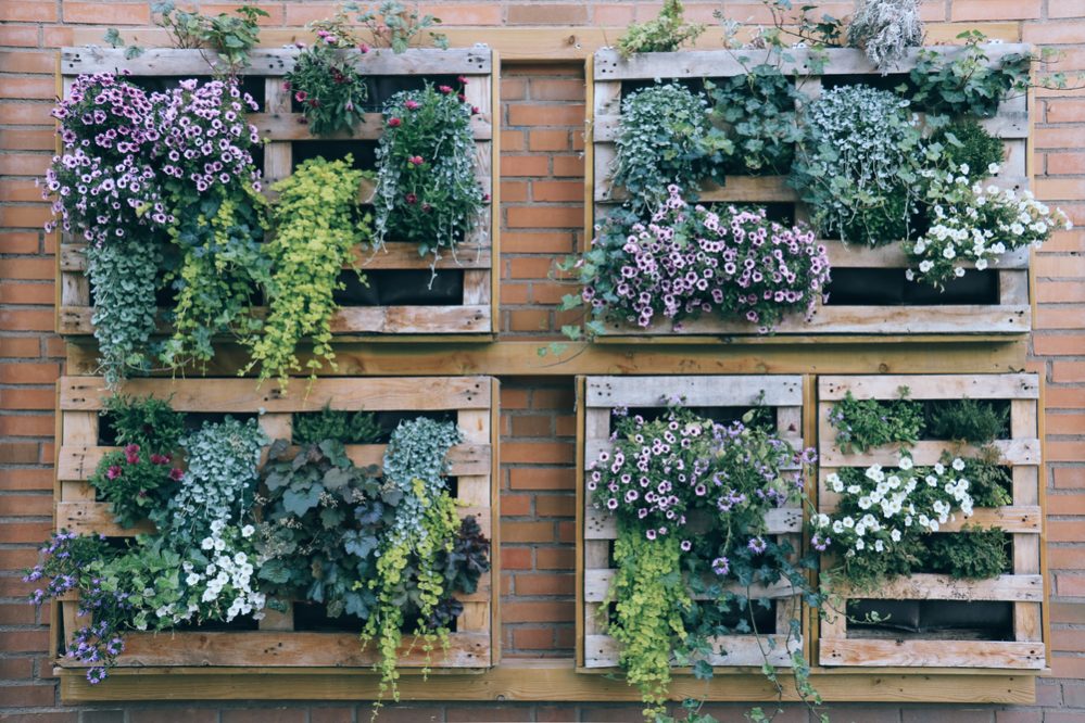 Vertical Garden, How Do You Build A Vertical Garden Wall