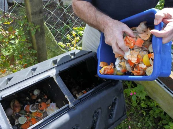 How Does a Compost Bin Work?