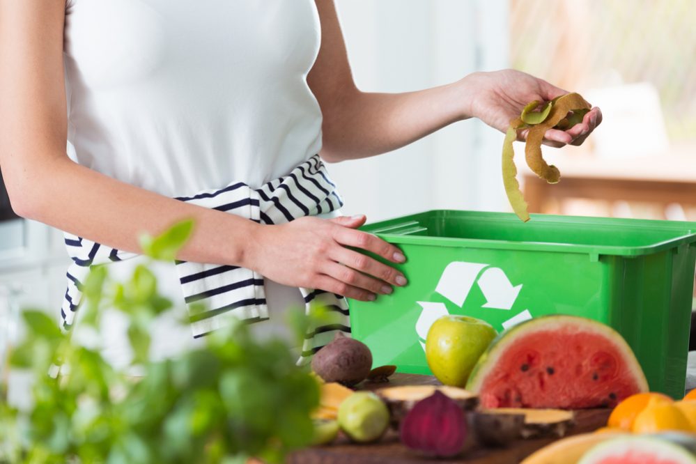 Best Indoor Compost Bin Reviews composting