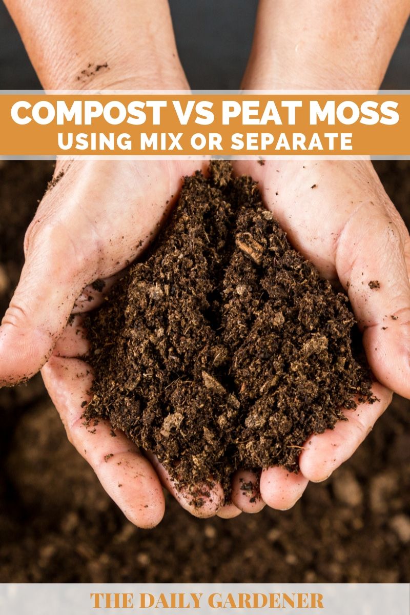 Compost vs Peat Moss: Using Mix or Separate