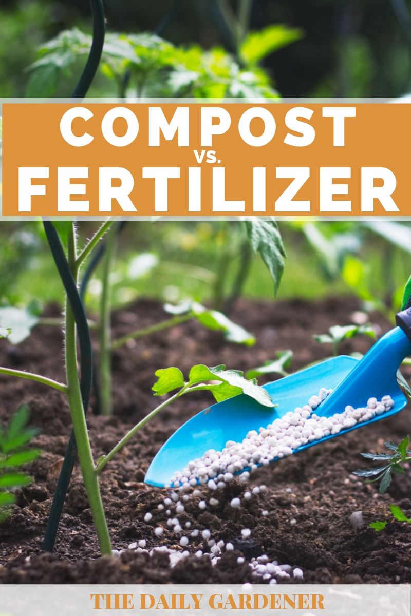 compost vs fertilizer 2