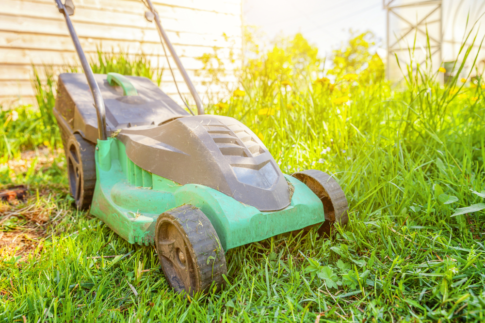 Benefits of Mowing Your Lawn Regularly