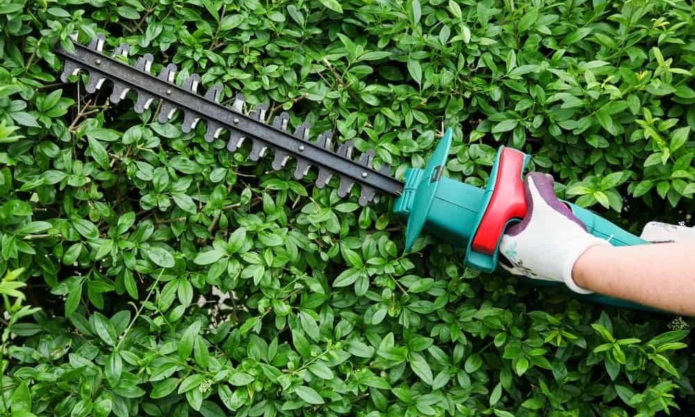 Best Electric Hedge Trimmer Reviews