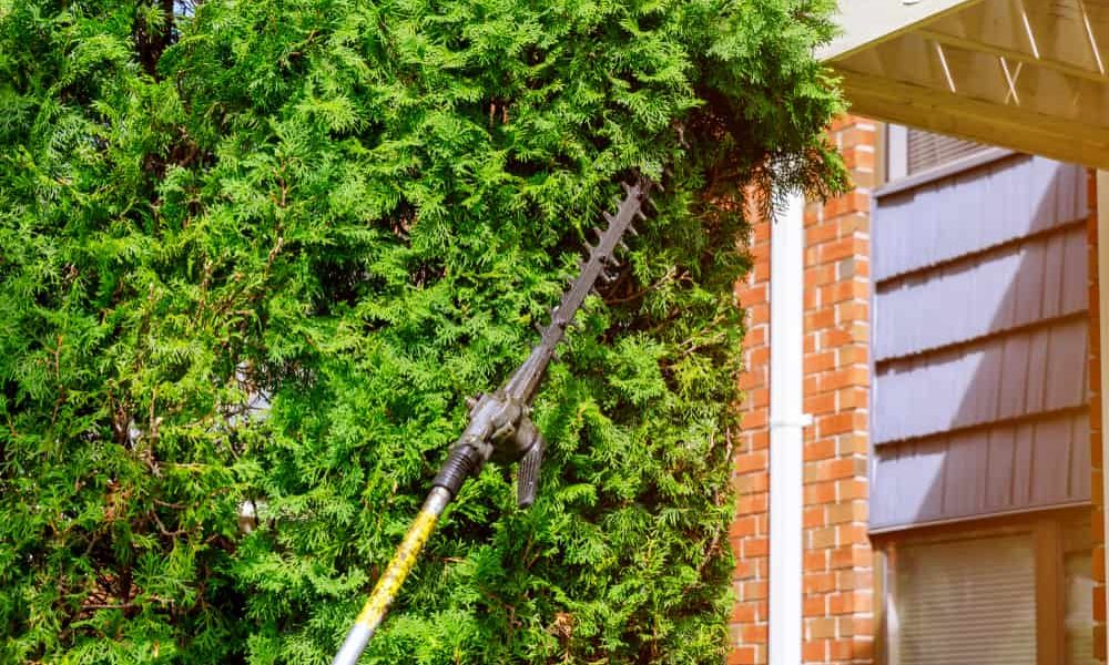 Best Pole Hedge Trimmer Reviews
