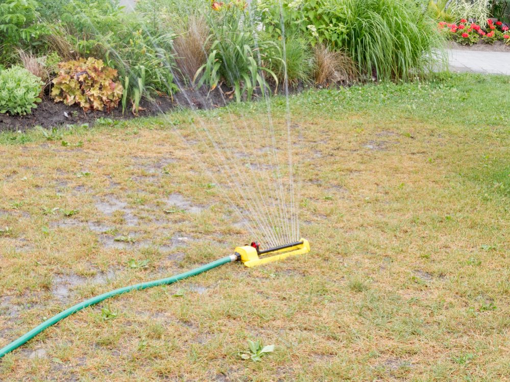 Don’t water your lawn too often