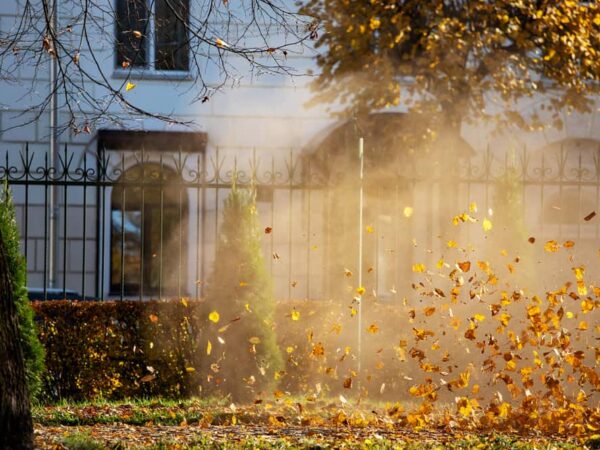 Gas vs. Electric Leaf Blower: Which is Right for You?