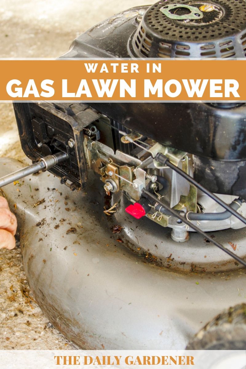 Water in Gas Lawn Mower 2