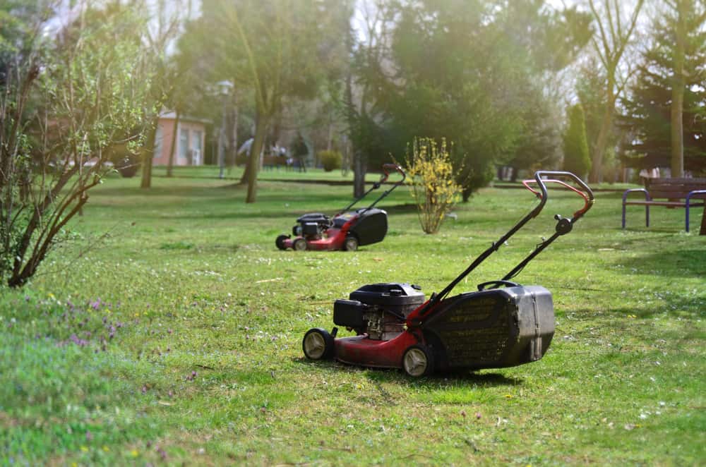 how to Clean Lawn Mower