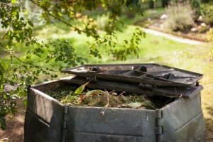 outdoor worm compost bin