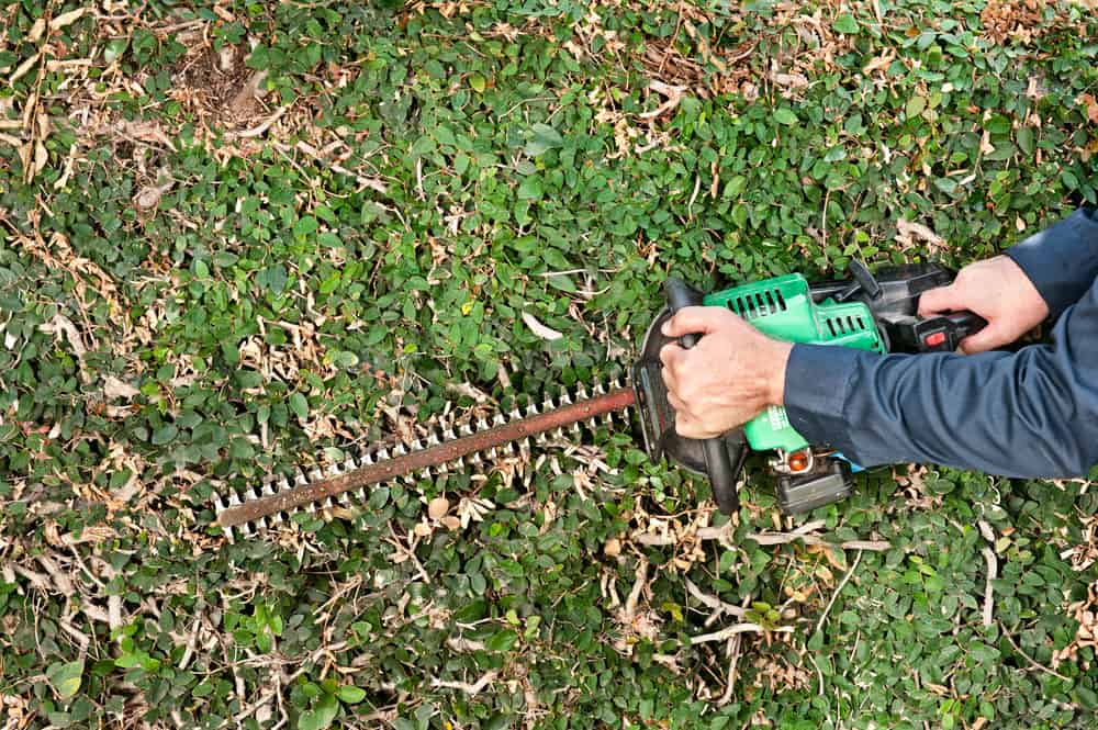 How to Sharpen Your Hedge Trimmer