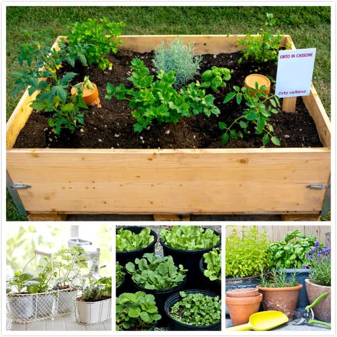 How To Grow Vegetables In Containers, Vegetable Garden Pots