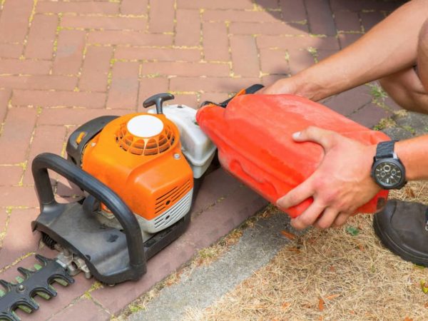 What Type of Oil to Use on Your Hedge Trimmer?