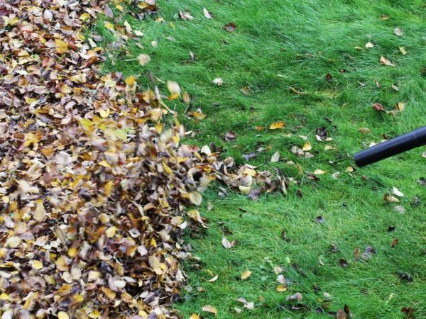 CFM vs. MPH: Which is Important for a Leaf Blower?