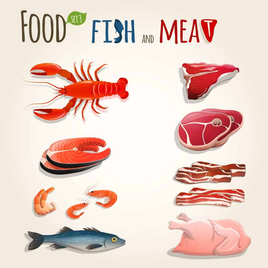 fish meat