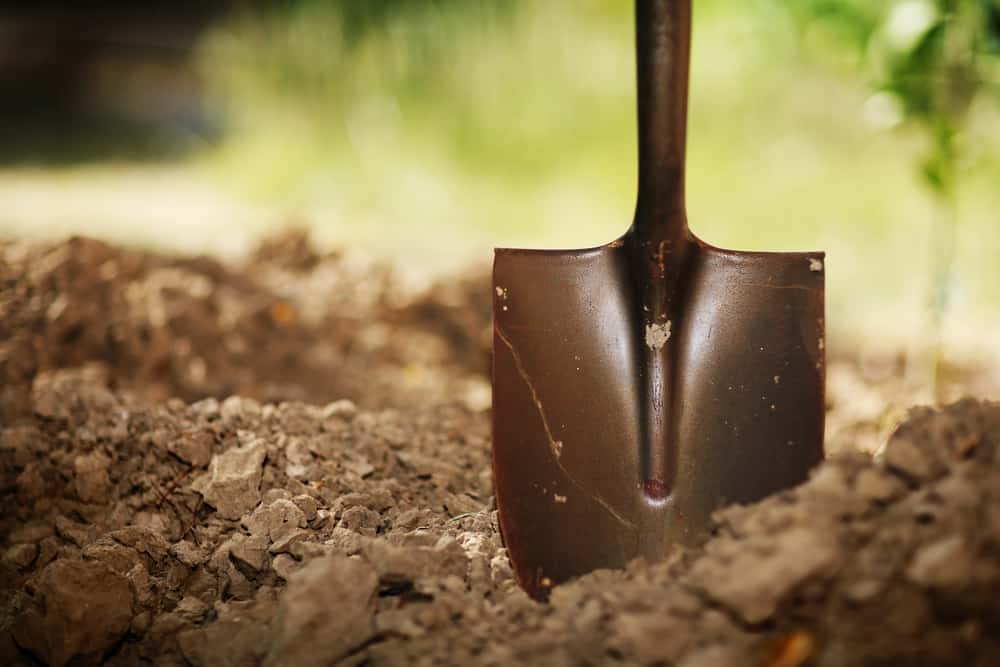 gardening shovel