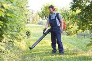 top rated leaf blowers