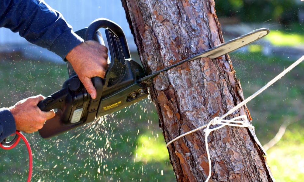 Electric Chainsaw Reviews