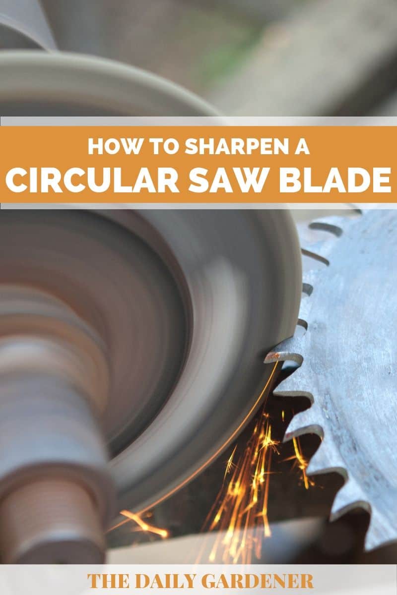 sharpen- circular saw blade 4