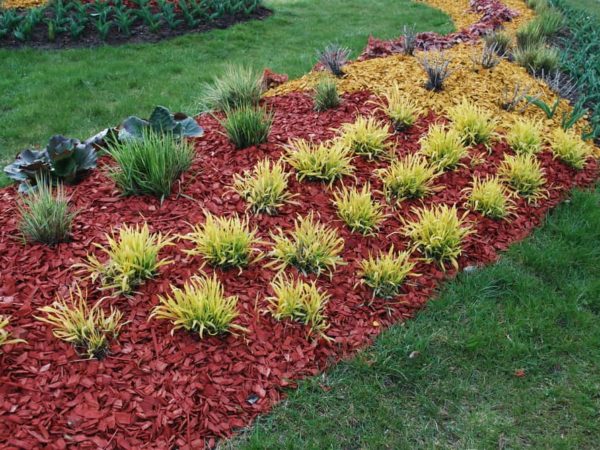 17 Types of Mulch – Which One is Best for You?