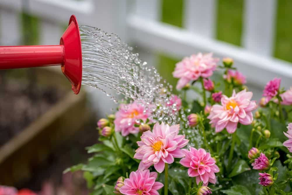 Flower Water Can Emoshayoga Durable Watering Pot for Indoor Outdoor Watering Can 