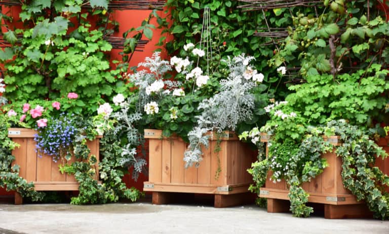 21 Planter Box DIY Ideas You Can Try Today