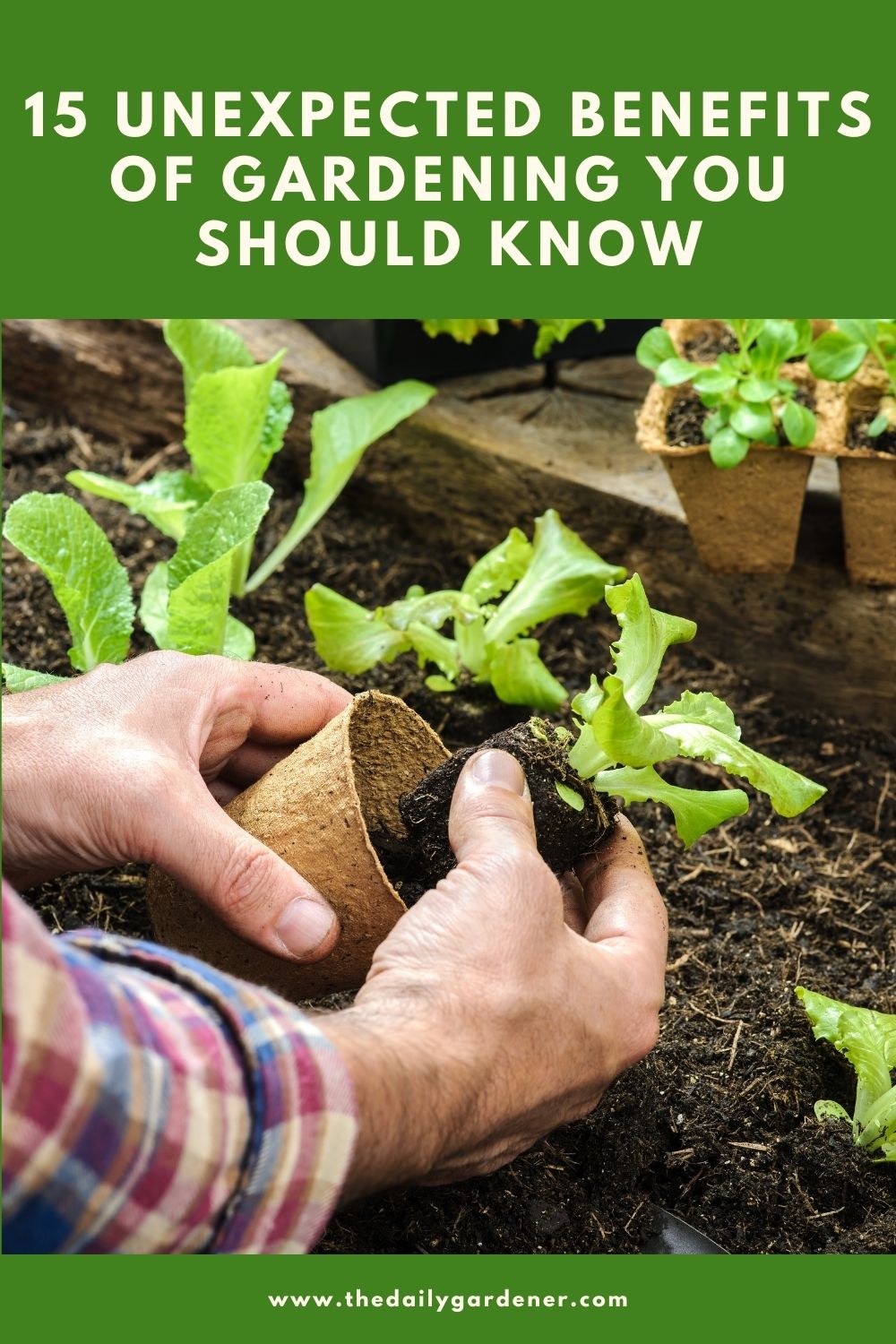 15 Unexpected Benefits of Gardening You Should Know 2