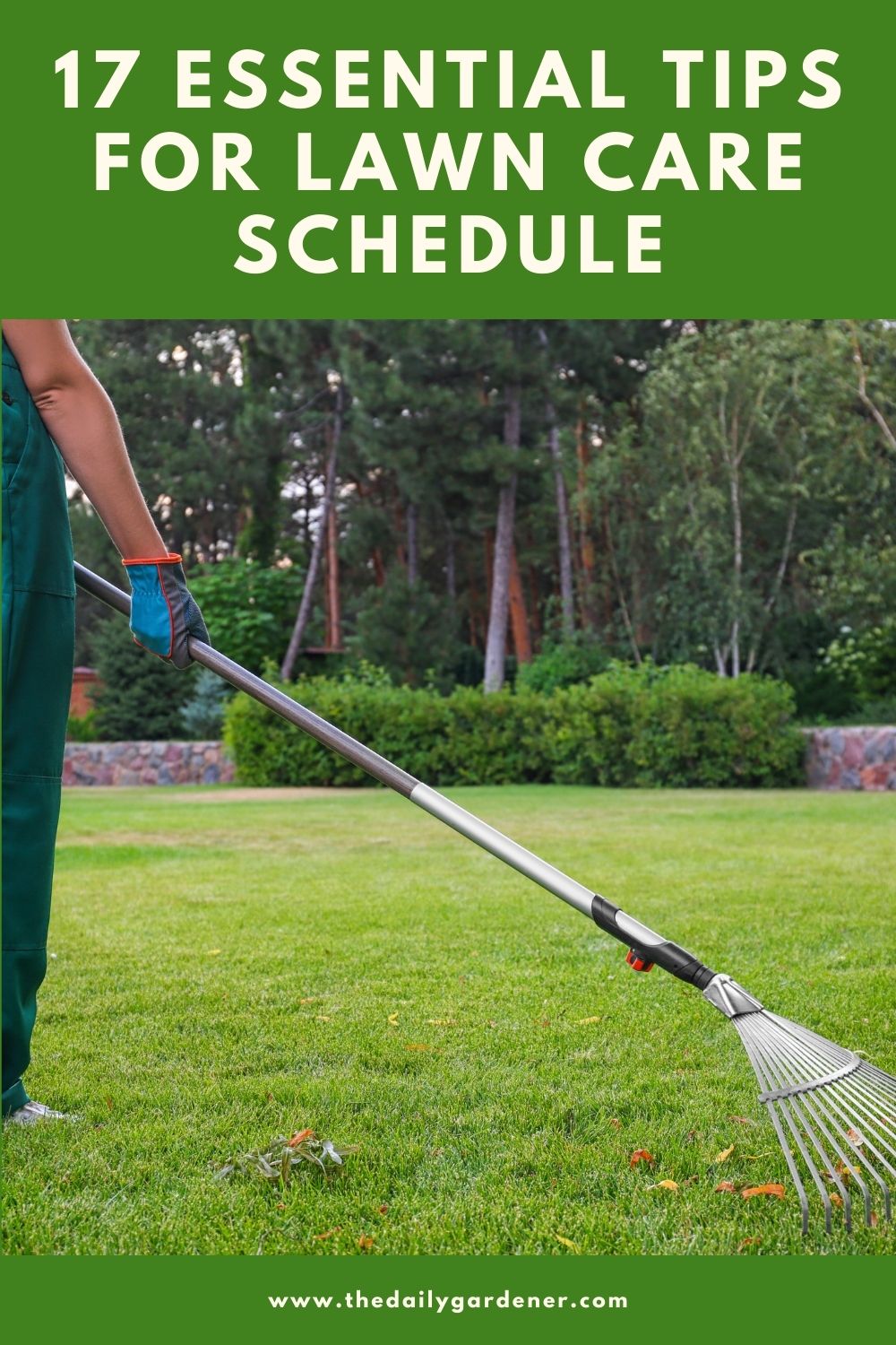 17 Essential Tips for Lawn Care Schedule 2