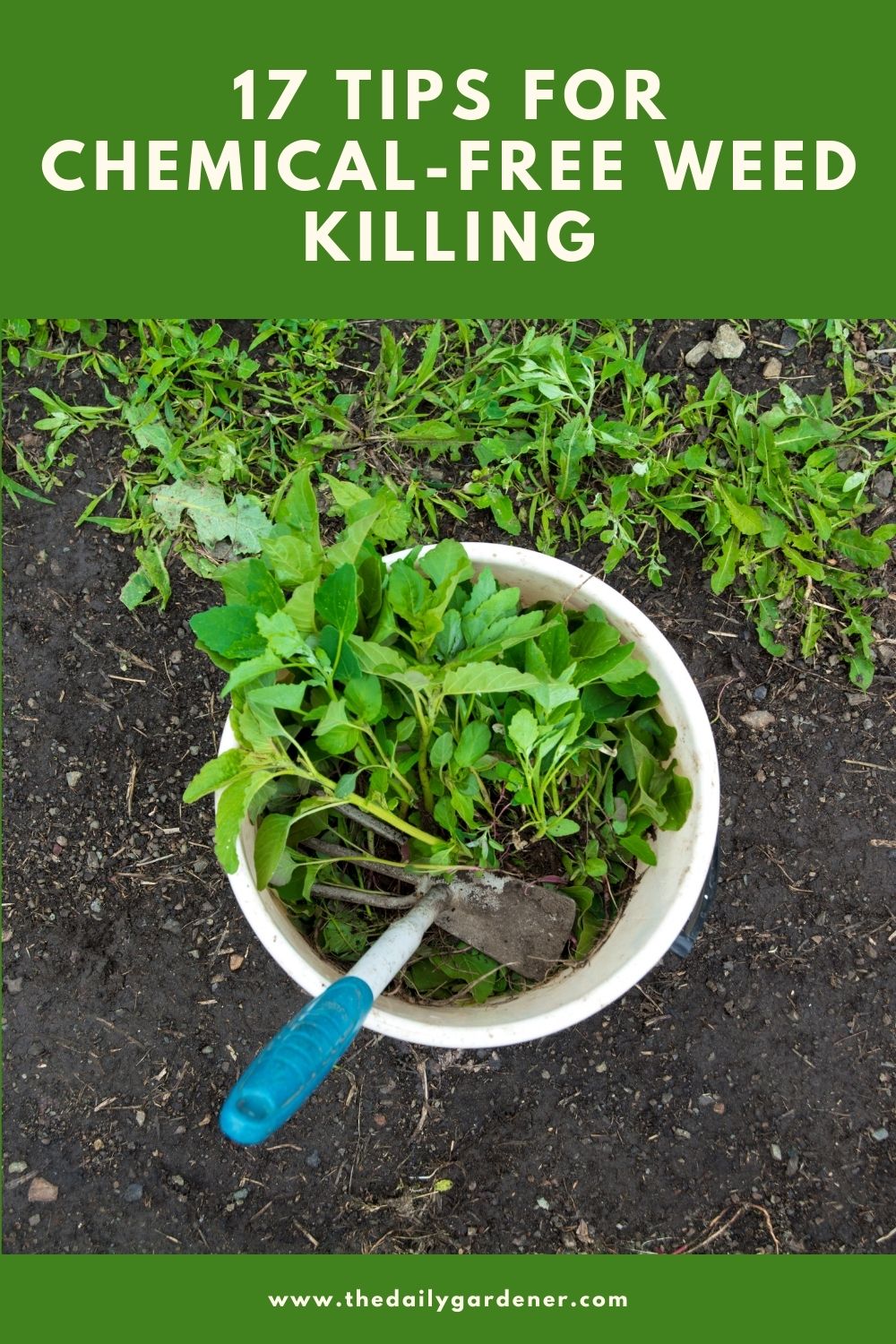 17 Tips for Chemical-Free Weed Killing 1