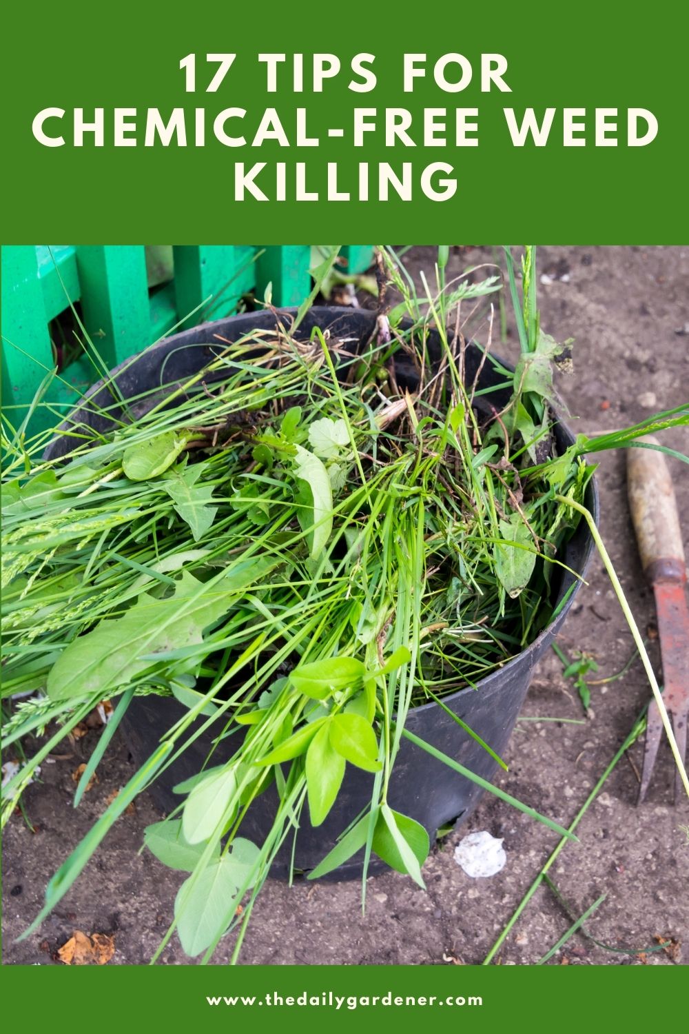 17 Tips for Chemical-Free Weed Killing 2