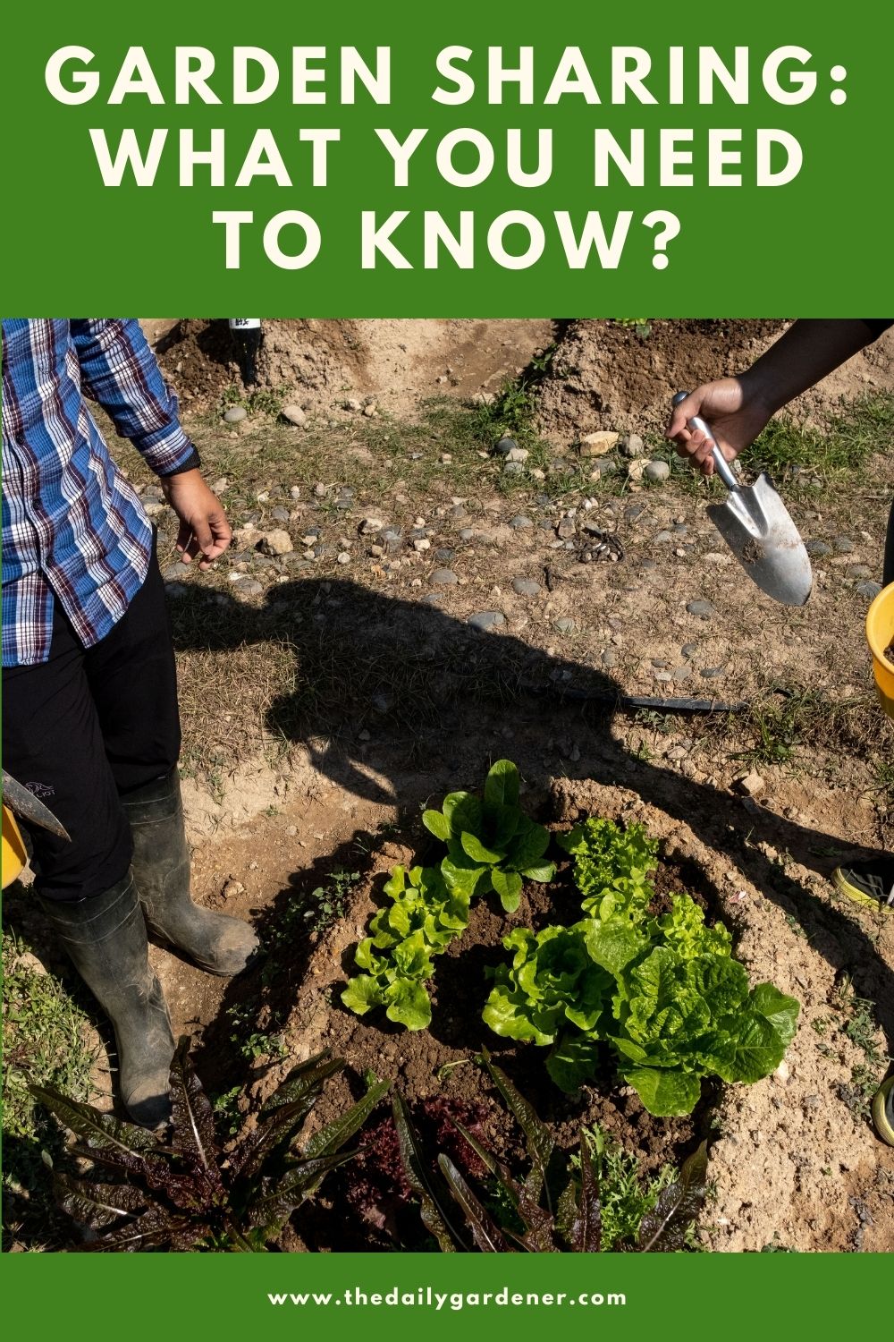 Garden Sharing What You Need to Know 1