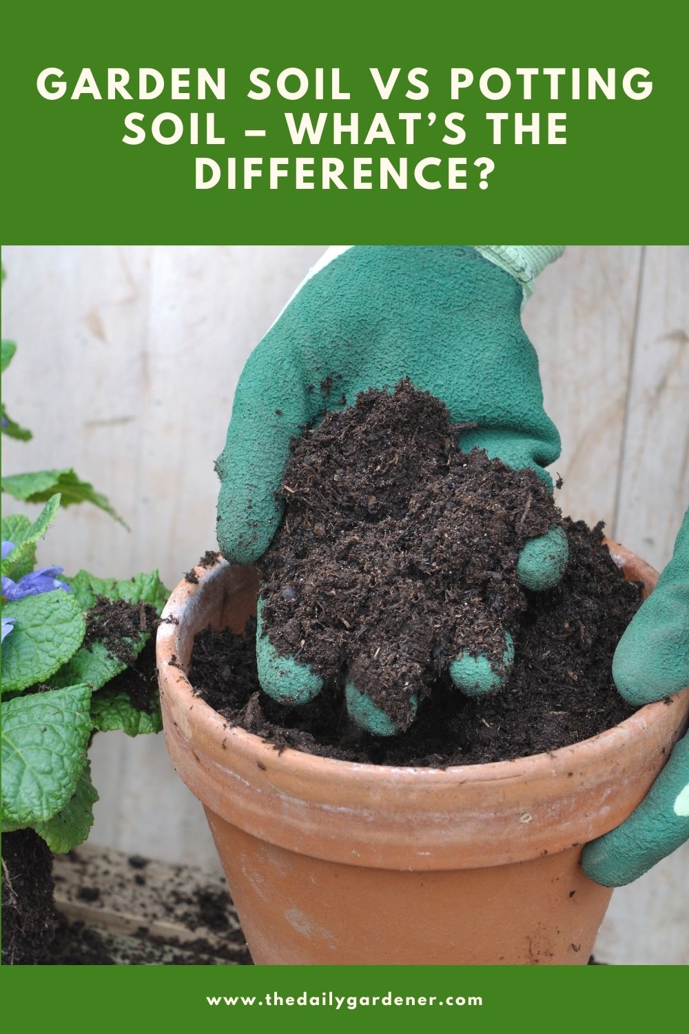 Garden Soil vs Potting Soil – What’s the Difference 2