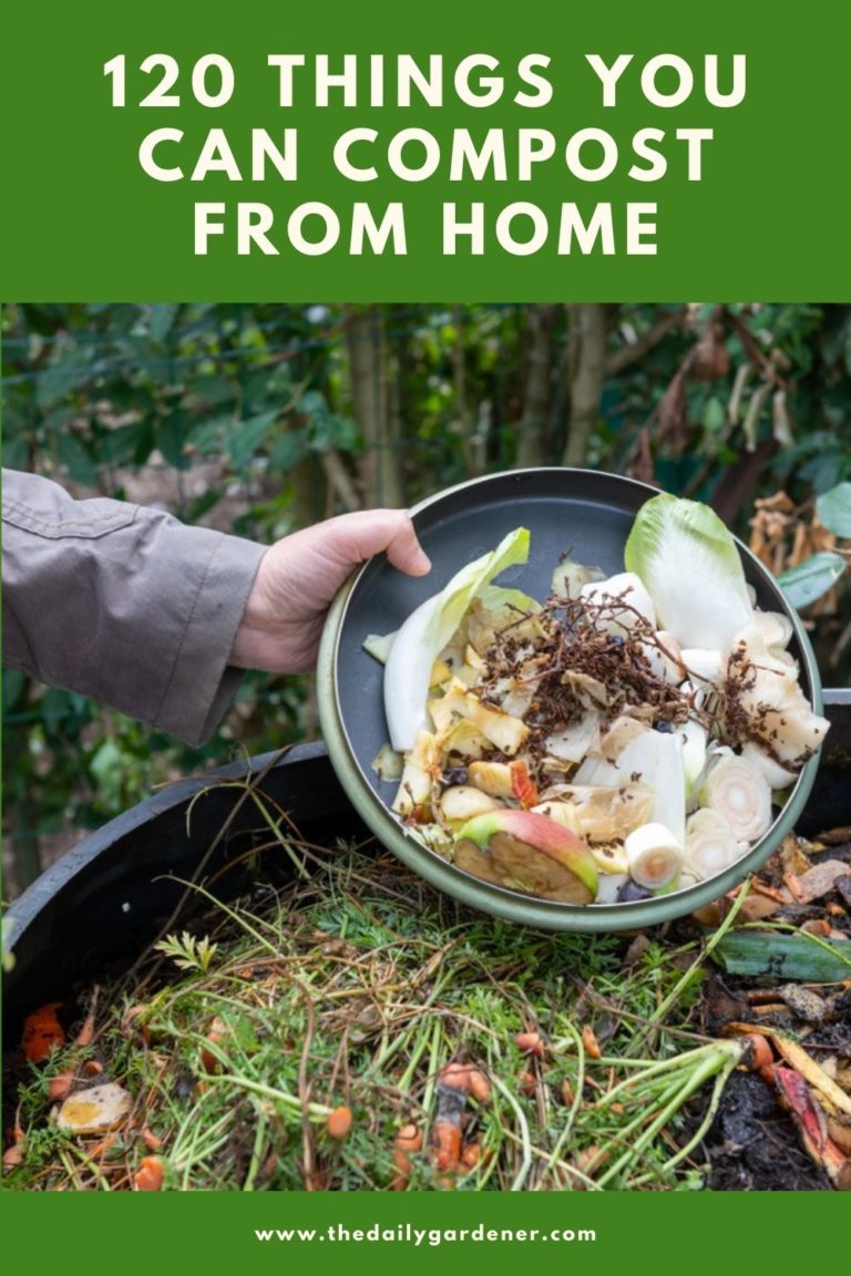 120 Things You Can Compost from Home
