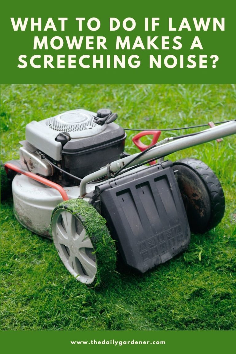 What to do if Lawn Mower Makes a Screeching Noise? Riding Mower Making Noise When Blades Are Engaged