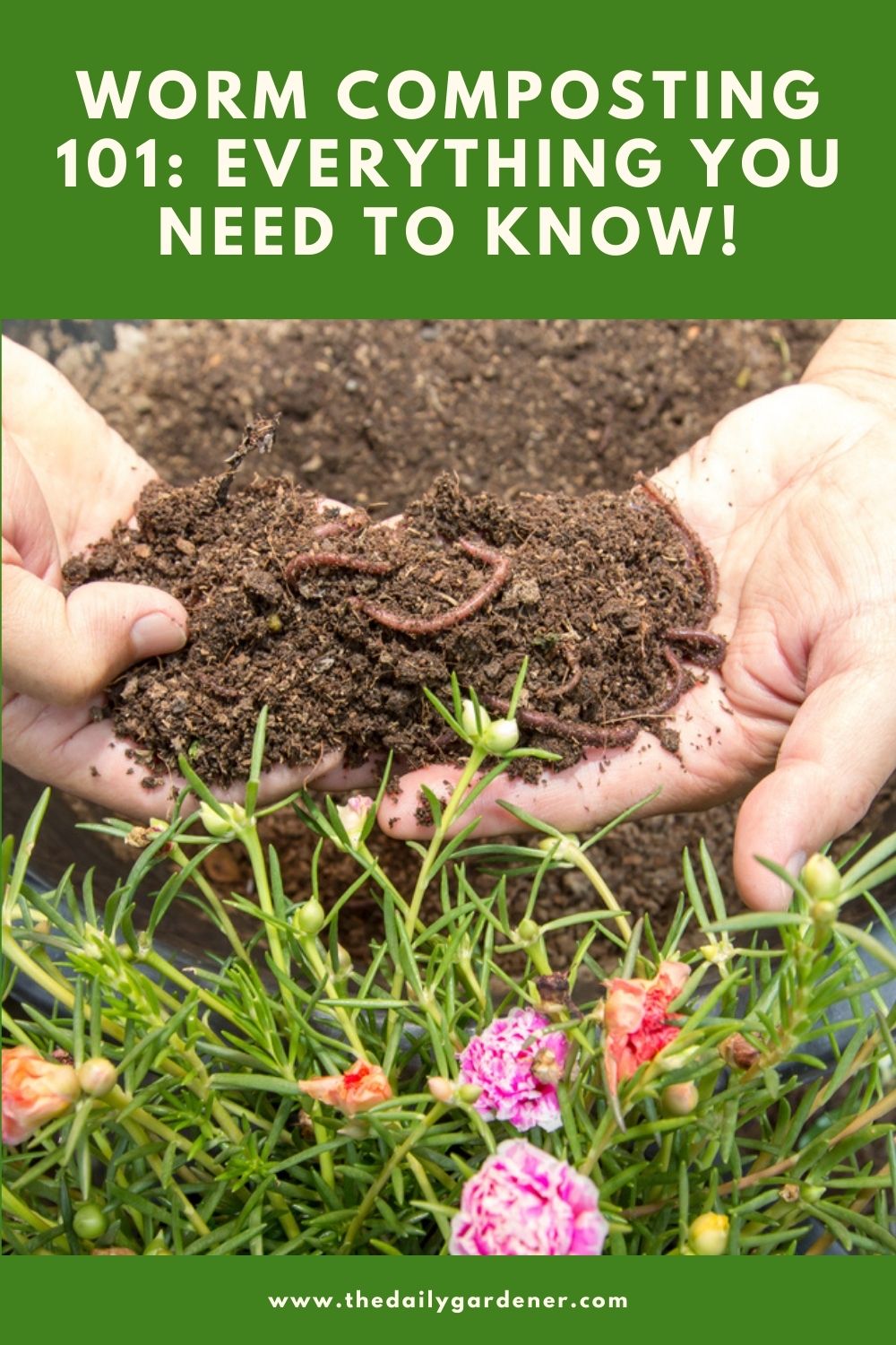 Worm Composting 101 Everything You Need to Know! 2