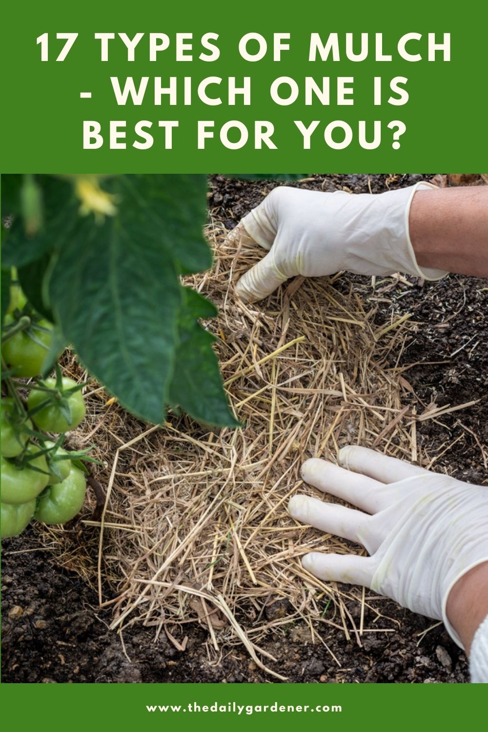 17 Types of Mulch - Which One is Best for You 1