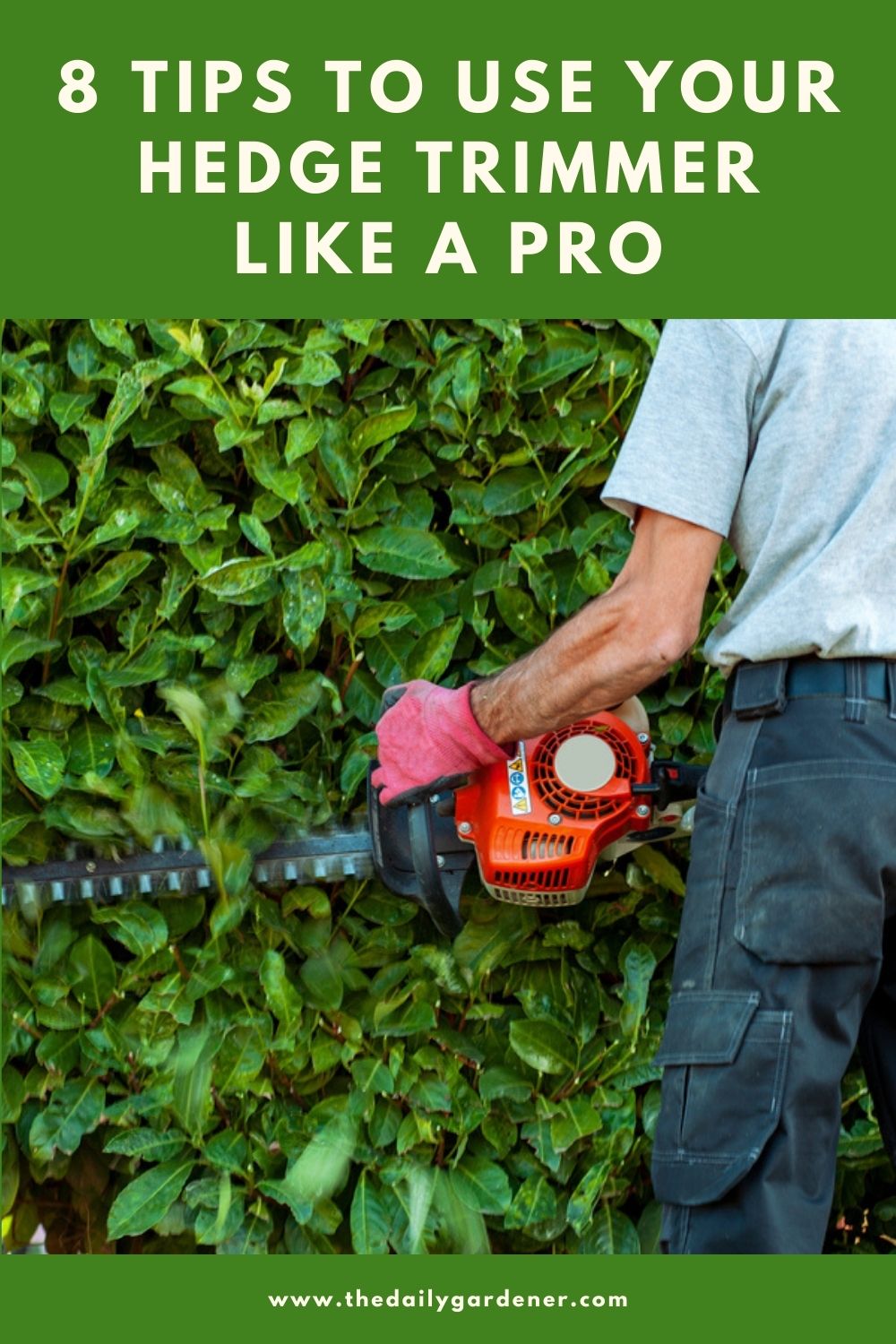 8 Tips to Use Your Hedge Trimmer like a Pro 2