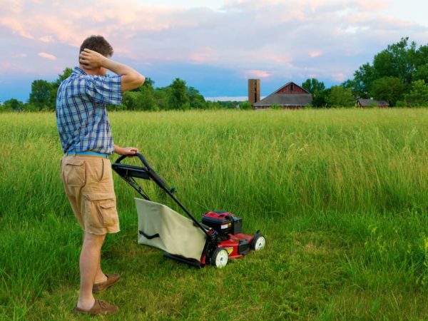 7 Easy Steps to Mow Tall Grass