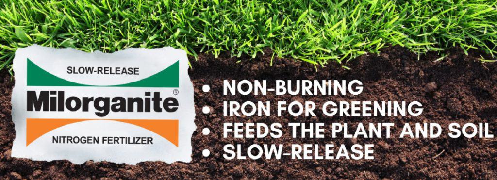What is Milorganite? When to Apply It?