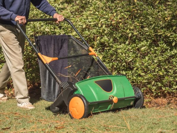 Is Push Lawn Sweeper Worthy of Money?
