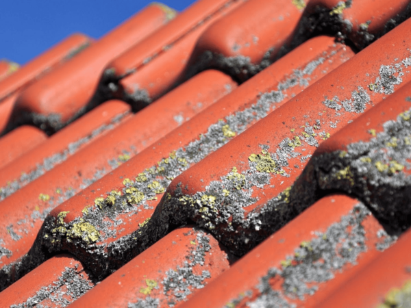 10 Signs It’s Time to Replace Your Roof
