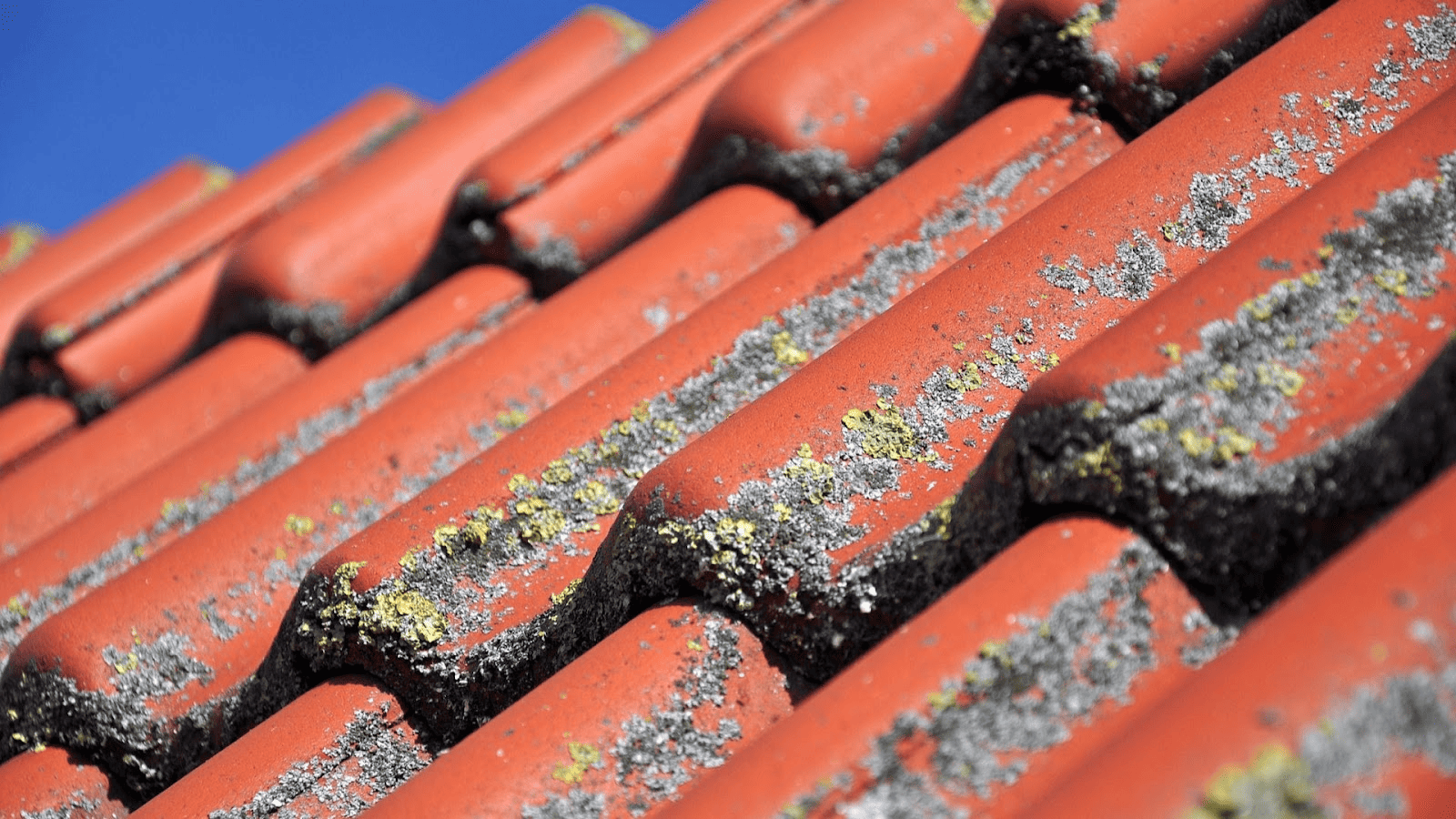 10 Signs It's Time to Replace Your Roof